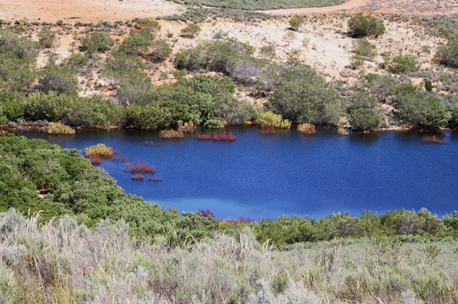 0 Bedroom Property for Sale in Uniondale Rural Western Cape